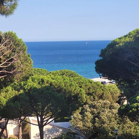Appartement Vue Mer 200 M Des Plages - Djumbo แซ็งต์-แมกซีม ภายนอก รูปภาพ